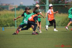 Rookeis0803-73