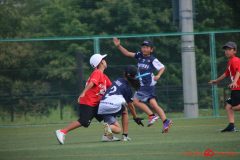 Rookeis0803-81