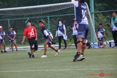 Rookeis0803-83