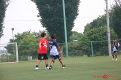 Rookeis0803-84