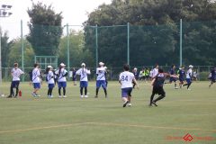 Rookeis0803-9