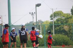 Rookeis0803-93
