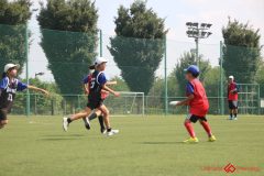 Rookeis0803-95