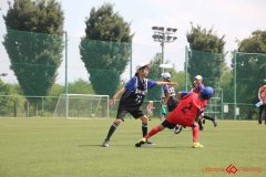 Rookeis0803-96