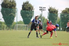 Rookeis0803-97