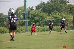 Rookeis0803-99