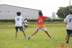 2025peace-210