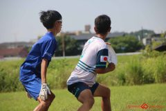 2025peace-245