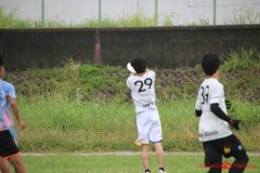 2025peace-3