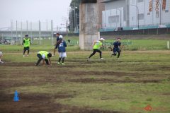 freshmanscup2026-500