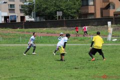 ulti-lover_0801-134