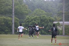 2026wakaba_0628-483