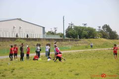 014f7b393f9be91106a625196d5e397c