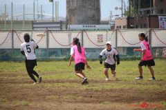 0666606625a47f681988ac2ca3f5aba1