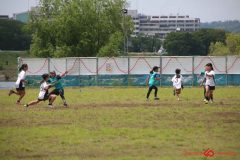 263595d050be41efe85d748ce9ea5ff2