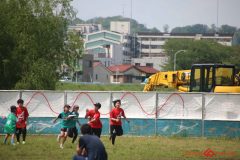 31335af1e98d4761e3675d9bdde03cfa