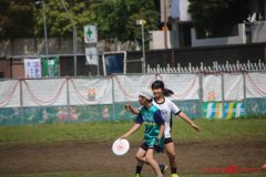 421e76543fe59495a8809d80e384e4de