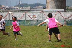 497f643103536c4255ec72ce95a23de7