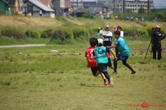 4e9efe19f9ff2cca61835c41d819ccae