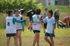 72ca61b8332a0f6b6269a677332d0894