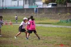 7669f3cb18e977105a45c8d769cf7d53