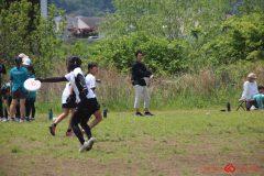 81d8a5c15a56e22ddc970a38411eb7b8