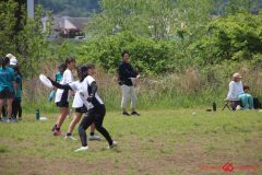 8497e83e76781212433f40ce88584ef1