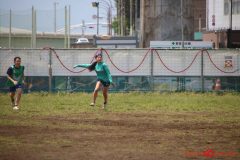 8640d5d6f05264ec629d3be177255841