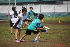 8a62663f07554fd6ca8d352ea4e08fe0