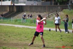 8ee7e2298d783d1d97e14f0585129296