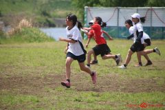 92762bffa4decf83ca9804bc1e034fe6