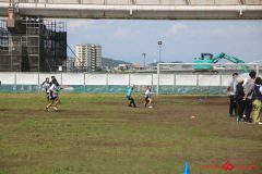 971cad1e6589b6206c10c37654014fb3