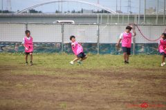 b2980a0cab7dcee3ddf3004a0dfab95f