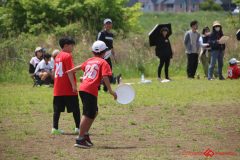 bbfb42eea18a761712cabb2e57255814