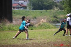 c290f9ea9ae4870e7ada41ce70b0b883