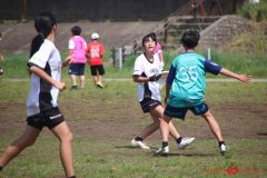 d8d177455f112912c6febb6a54a2fb47