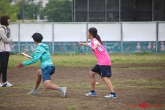 e1cca46d453bcffc2ea235f447b54145