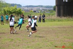 e6f3f6f6fcc9ef04043e7e851cac1b90