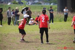 e8c1d5f3cdbe065ce5c61721080a8530