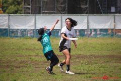 edc70c1797a11f0c099135e69f3a6001