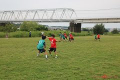 e-jhs_0712-286