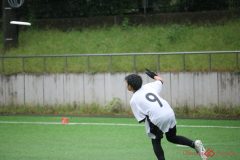 e-s_0921-161