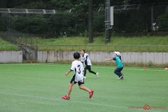 e-s_0921-7